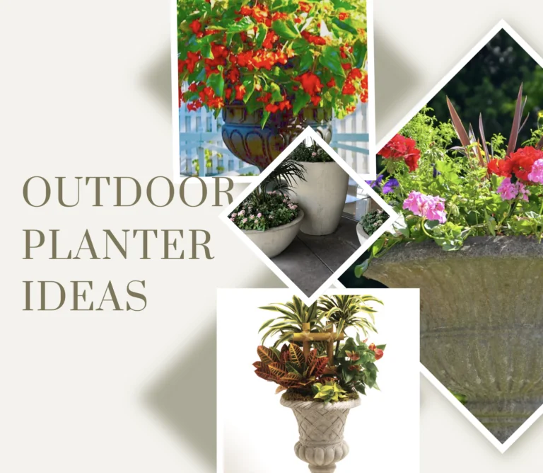 OUTOOR PLANTER IDEAS